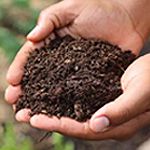 有機肥料